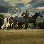 Hébergement de vacances à Bazian
